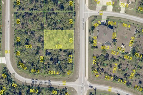 Land in Port Charlotte, Florida № 2220730 - photo 2