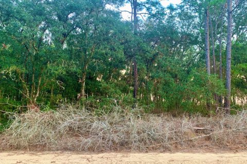 Propiedad comercial en Inverness, Florida № 2169540