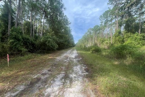 Land in Georgetown, Florida № 2163731 - photo 3