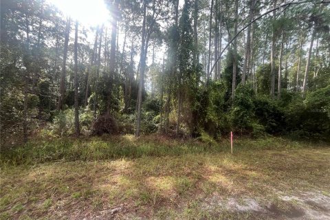 Land in Georgetown, Florida № 2163731 - photo 2