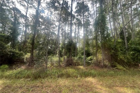 Land in Georgetown, Florida № 2163731