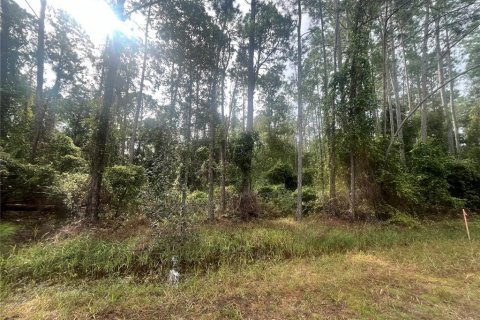 Land in Georgetown, Florida № 2163731 - photo 5