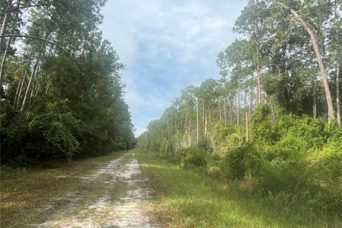 Land in Georgetown, Florida № 2163731 - photo 4