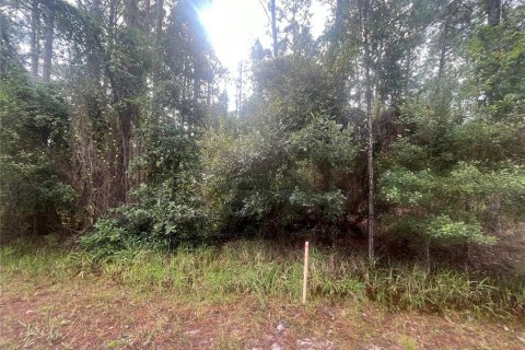 Land in Georgetown, Florida № 2163731 - photo 7