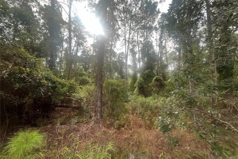 Land in Georgetown, Florida № 2163731 - photo 6