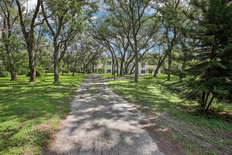 Casa en venta en Thonotosassa, Florida, 5 dormitorios, 462.93 m2 № 1808023 - foto 3