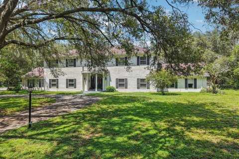 Casa en venta en Thonotosassa, Florida, 5 dormitorios, 462.93 m2 № 1808023 - foto 2
