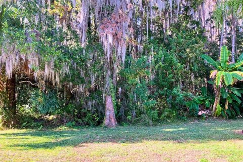 Copropriété à vendre à Lutz, Floride: 1 chambre, 42.36 m2 № 2098583 - photo 29