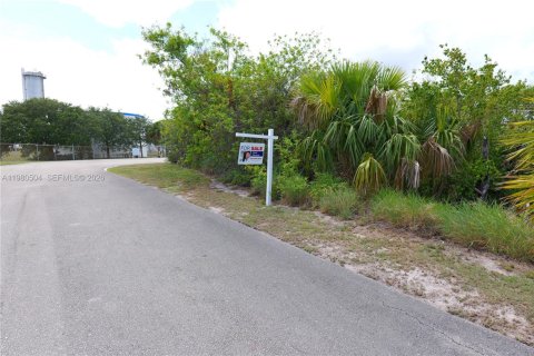 Land in Hobe Sound, Florida № 2079665 - photo 2