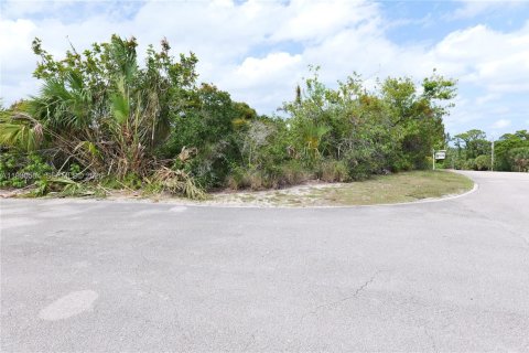 Land in Hobe Sound, Florida № 2079665 - photo 3