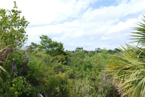 Land in Hobe Sound, Florida № 2079665 - photo 4