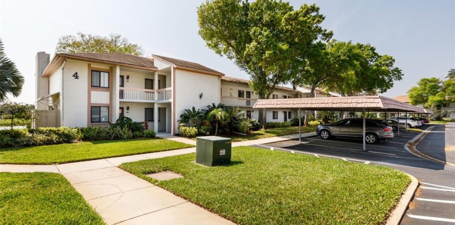 Condo in Oldsmar, Florida, 2 bedrooms  № 1508148