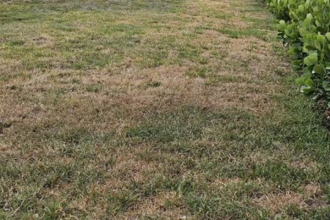 Land in Lake Worth, Florida № 1182436 - photo 1