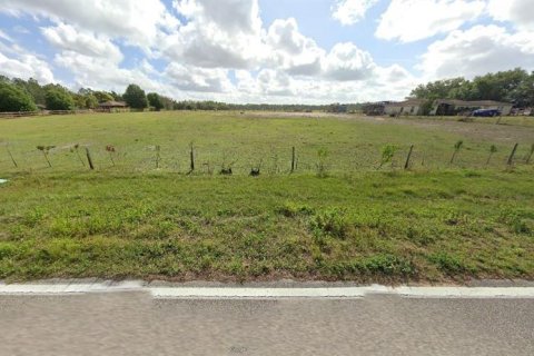 Land in Polk City, Florida № 2162207 - photo 2