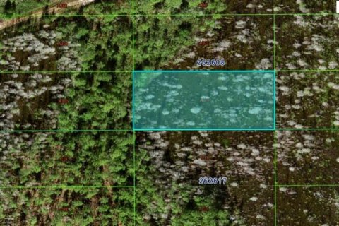 Terreno en Polk City, Florida № 2162207