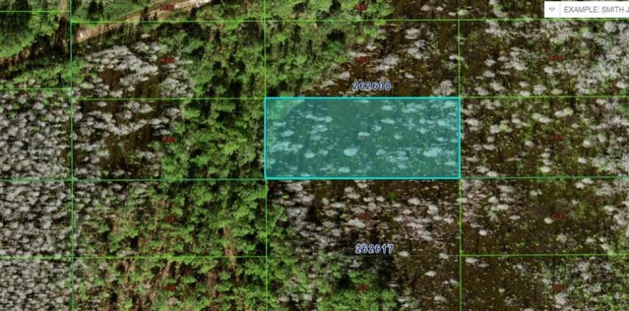 Land in Polk City, Florida № 2162207