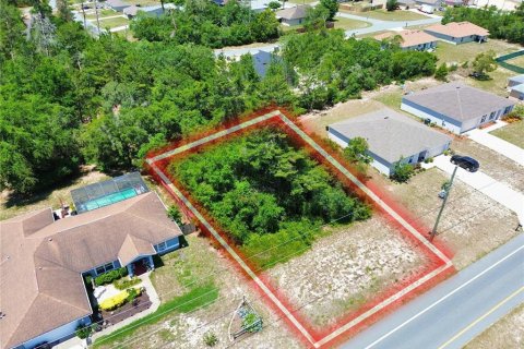 Land in Ocala, Florida № 1670670 - photo 2