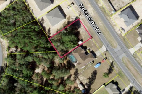 Land in Ocala, Florida № 1670670 - photo 1