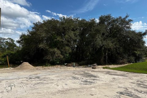 Land in Kissimmee, Florida № 2198905 - photo 4