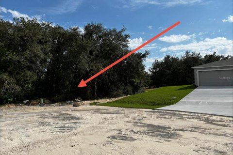 Land in Kissimmee, Florida № 2198905 - photo 6