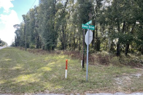 Land in Satsuma, Florida № 865751 - photo 1