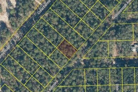 Land in Florahome, Florida № 2162929 - photo 2