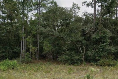 Land in Florahome, Florida № 2162929