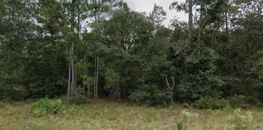 Land in Florahome, Florida № 2162929