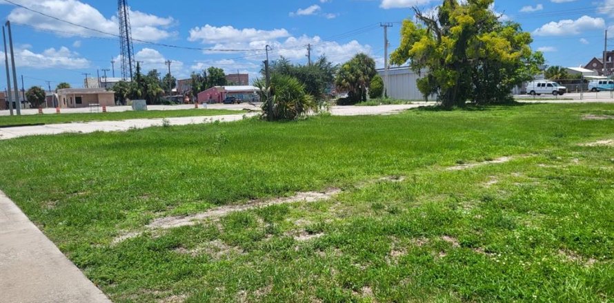 Land in Arcadia, Florida № 1276039