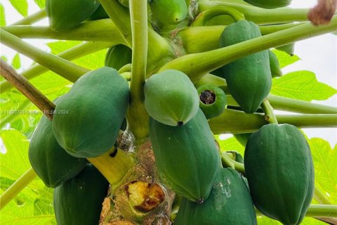 Casa en venta en Port St. Lucie, Florida, 4 dormitorios № 2014241 - foto 21