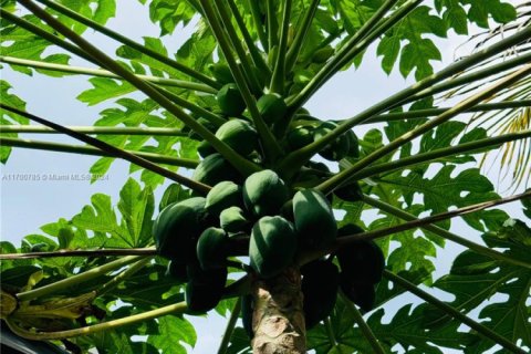 Casa en venta en Port St. Lucie, Florida, 4 dormitorios № 2014241 - foto 22