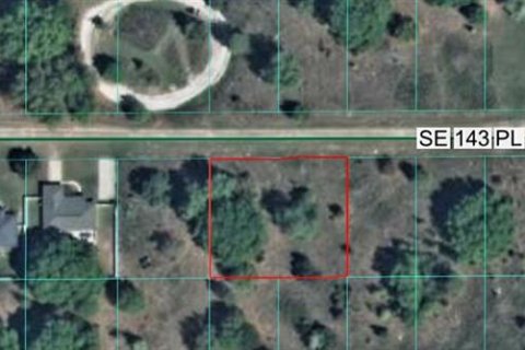 Land in Summerfield, Florida № 2149324 - photo 2