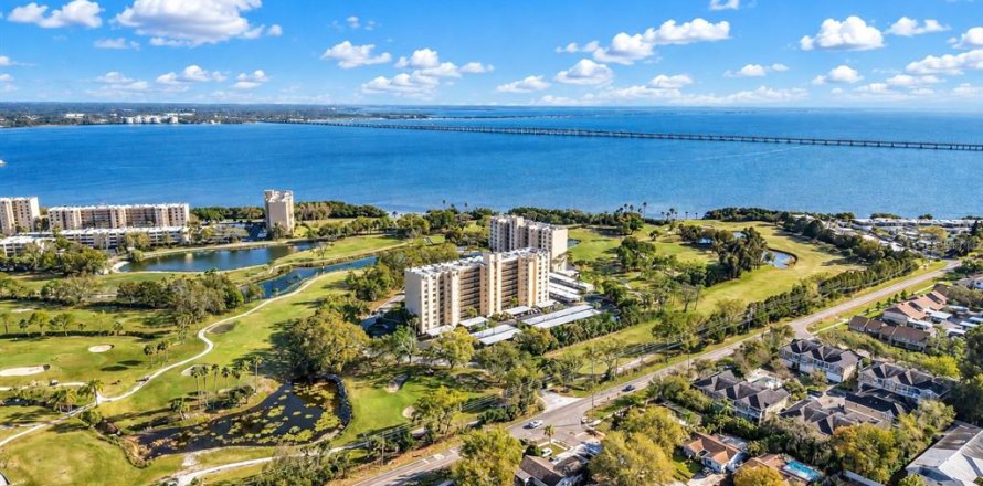 Condo in Clearwater, Florida, 1 bedroom  № 2395872