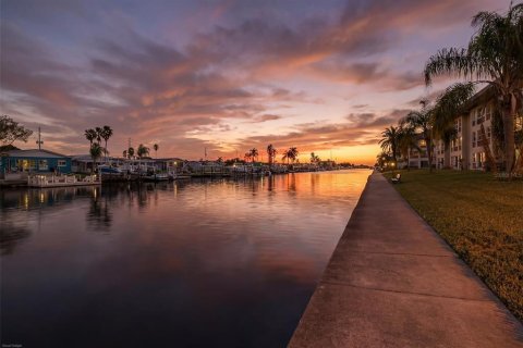 Condo in New Port Richey, Florida, 2 bedrooms  № 2103059