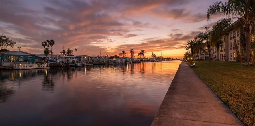Condo à New Port Richey, Floride, 2 chambres  № 2103059
