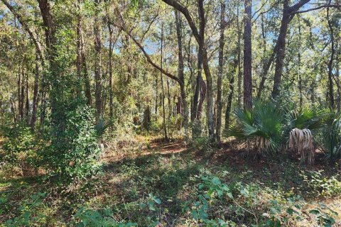 Land in Longwood, Florida № 852185 - photo 5