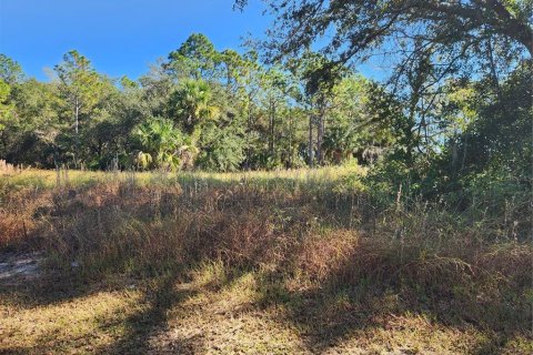 Land in Longwood, Florida № 852185 - photo 4