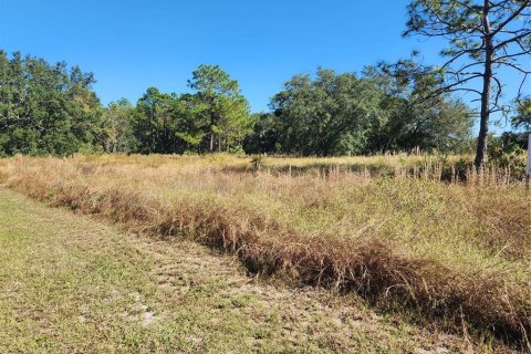 Land in Longwood, Florida № 852185 - photo 2