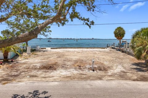 Terrain à vendre à Gulfport, Floride № 1770982 - photo 29