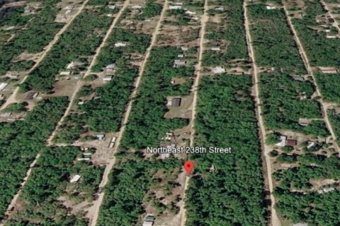 Terreno en Fort MC Coy, Florida № 2209633