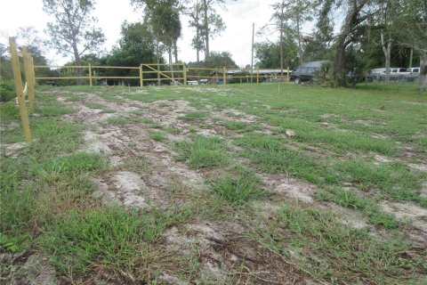 House in Silver Springs Shores, Florida 3 bedrooms, 107.67 sq.m. № 1905650 - photo 13
