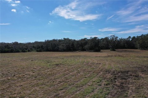 Terreno en venta en Edgewater, Florida № 2109459 - foto 21