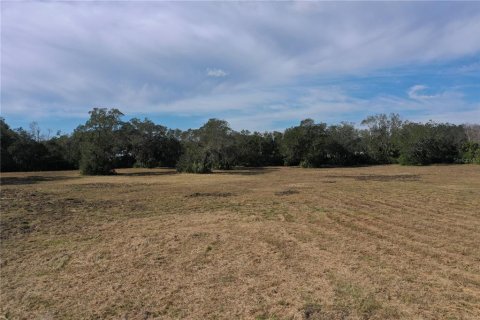Terreno en venta en Edgewater, Florida № 2109459 - foto 20