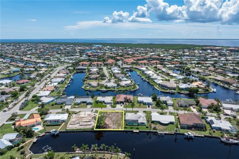 Land in Punta Gorda, Florida № 1917101 - photo 9