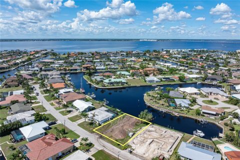 Land in Punta Gorda, Florida № 1917101 - photo 4