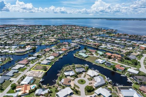 Land in Punta Gorda, Florida № 1917101 - photo 6