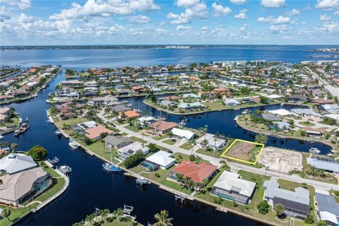 Land in Punta Gorda, Florida № 1917101 - photo 7
