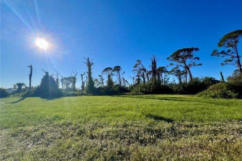 Land in Placida, Florida № 2163171