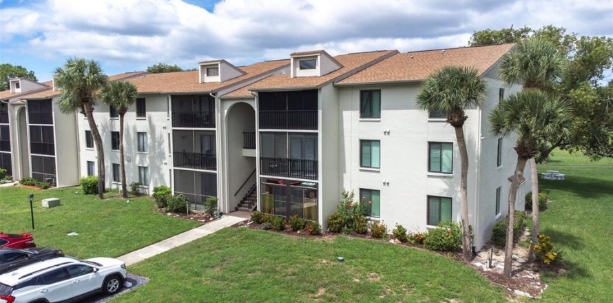 Condo in Palm Harbor, Florida, 2 bedrooms № 1902873