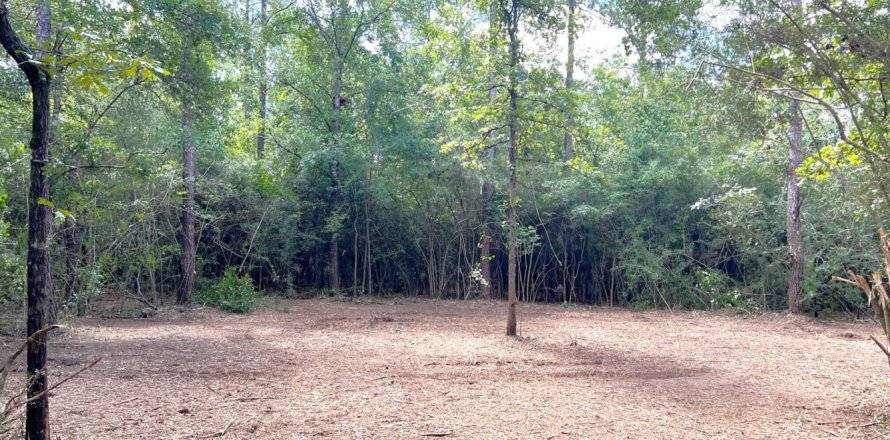 Land in Westville, Florida № 558570